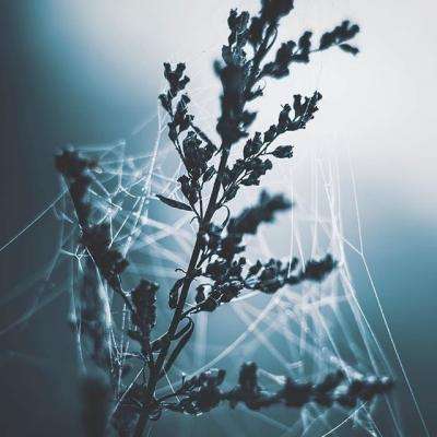 8x8越野卡车驾驶2020