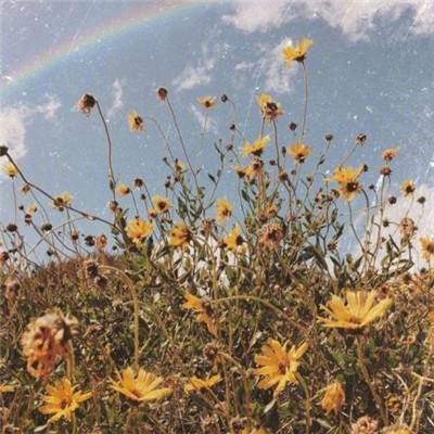 酒价内参3月25日价格发布 贵州茅台精品酒涨幅居前,环比上涨5元/瓶