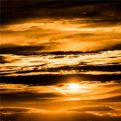 3月26日美股成交额前20:传英特尔与AMD计划提高CPU产品价格