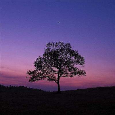 参议院法案瞄准预测市场的体育式博彩